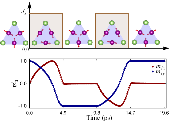 Spin dynamics in antiperovskite